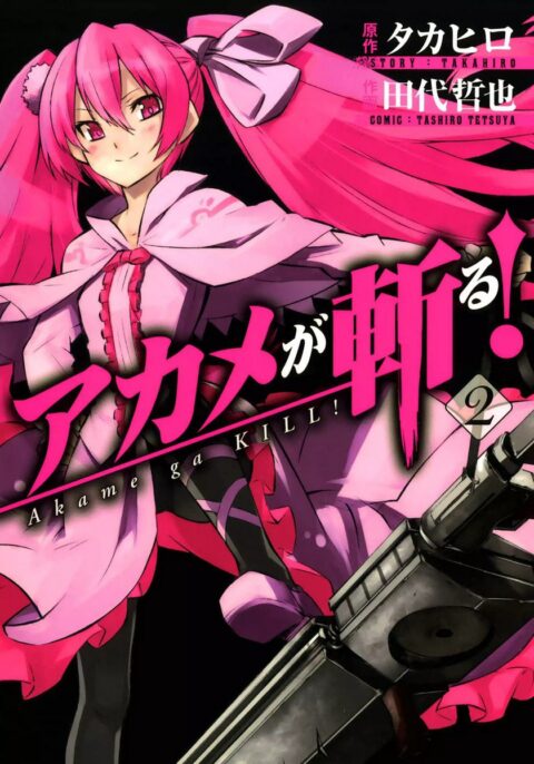 Akame ga KILL!, Vol. 2