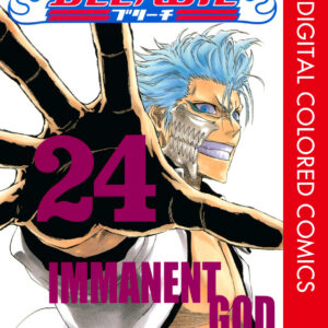 Bleach, Vol. 24