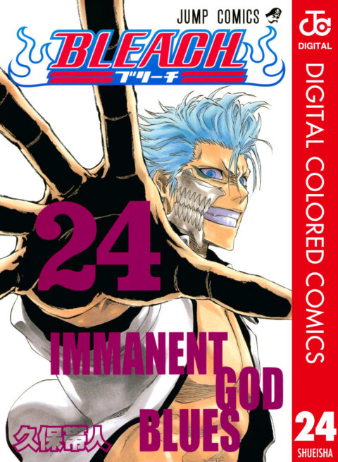 Bleach, Vol. 24