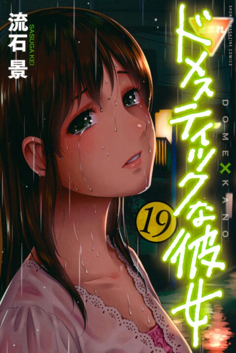 Domestic Girlfriend, Vol. 19