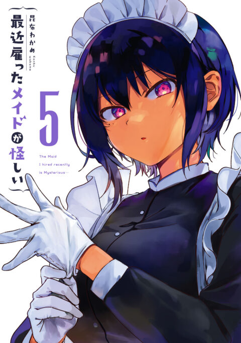The Maid I Hired Recently Is Mysterious, Vol. 5