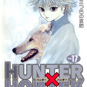 Hunter x Hunter, Vol. 17