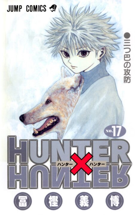 Hunter x Hunter, Vol. 17