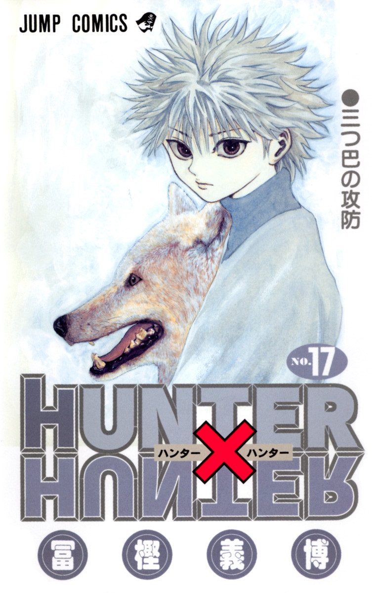 Hunter x Hunter, Vol. 17