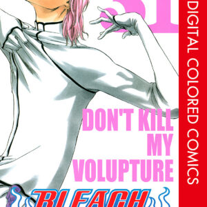 Bleach, Vol. 31
