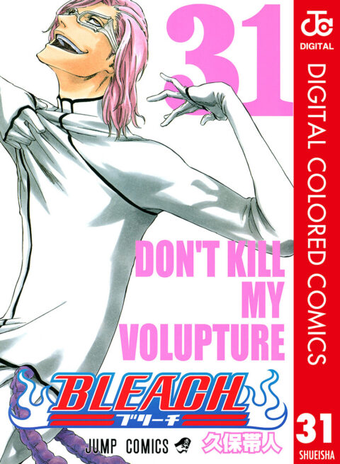 Bleach, Vol. 31