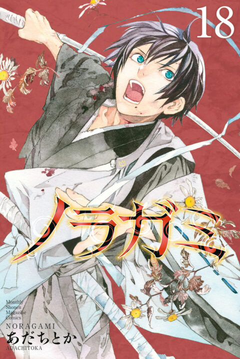 Noragami – Stray God, Vol. 18