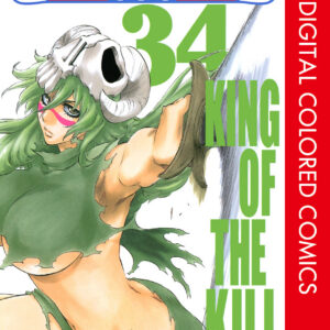 Bleach, Vol. 34