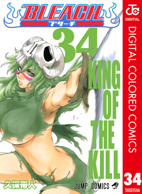 Bleach, Vol. 34