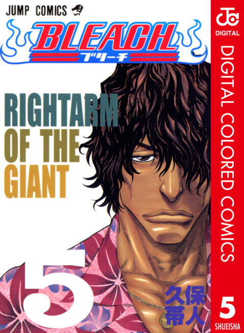 Bleach, Vol. 5