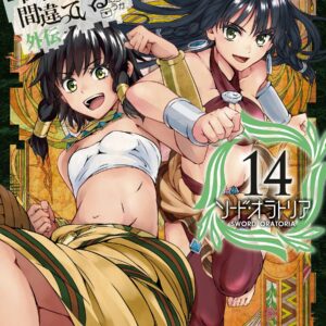 Is It Wrong to Try to Pick Up Girls in a Dungeon? On the Side: Sword Oratoria, Vol. 14