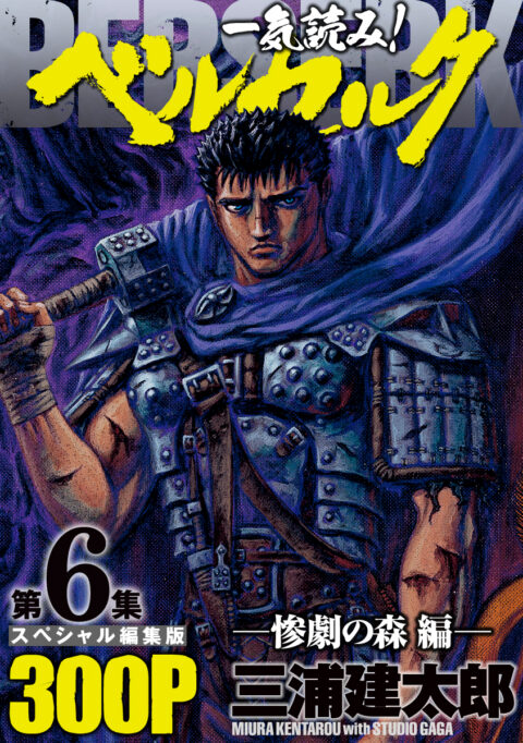 Berserk, Vol. 6