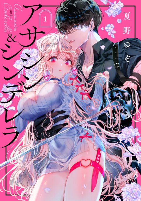 Assassin & Cinderella, Vol. 1