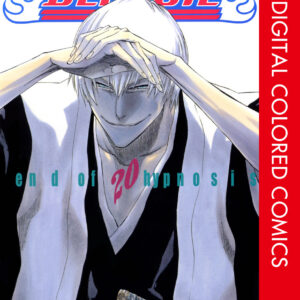 Bleach, Vol. 20