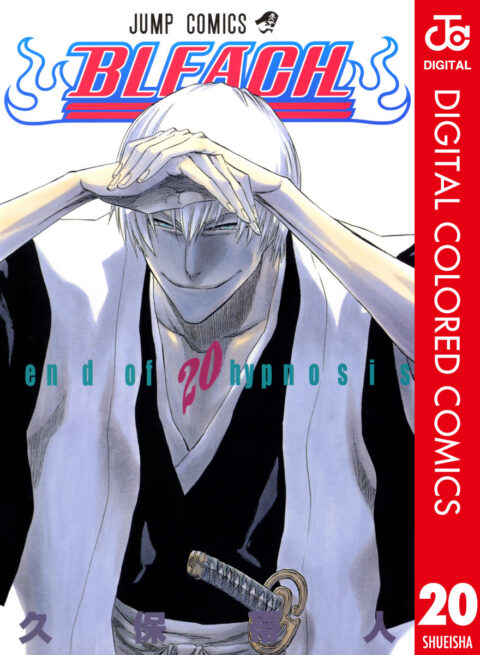 Bleach, Vol. 20