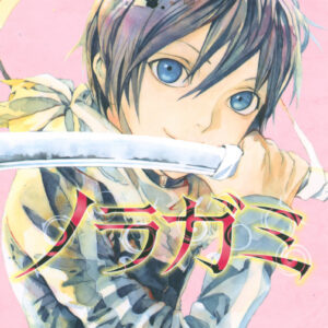 Noragami – Stray God, Vol. 13