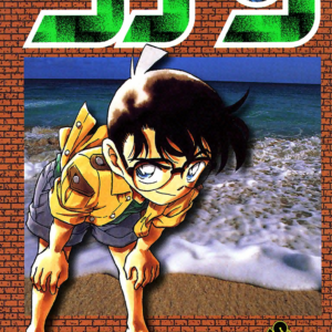 Case Closed, Vol. 31