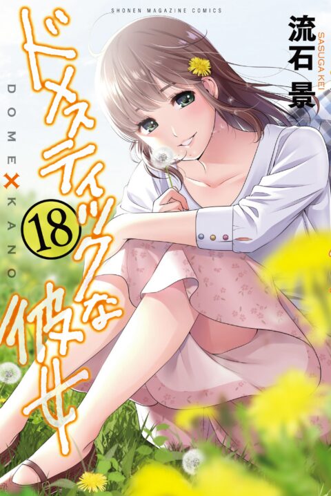 Domestic Girlfriend, Vol. 18