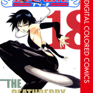 Bleach, Vol. 18