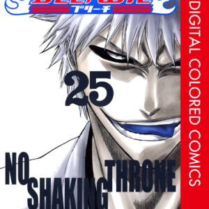 Bleach, Vol. 25