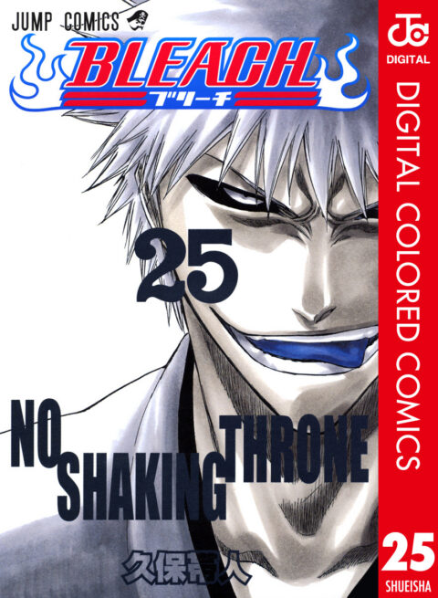 Bleach, Vol. 25