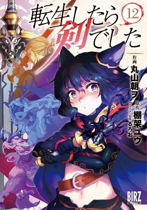 Reincarnated as a Sword, Vol. 12