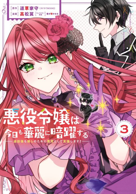 The Villainess Stans the Heroes – Playing the Antagonist to Support Her Faves!, Vol. 3