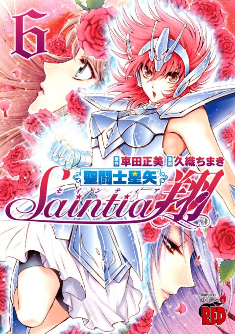 Saint Seiya: Saintia Sho, Vol. 6