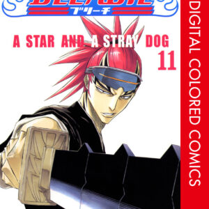 Bleach, Vol. 11