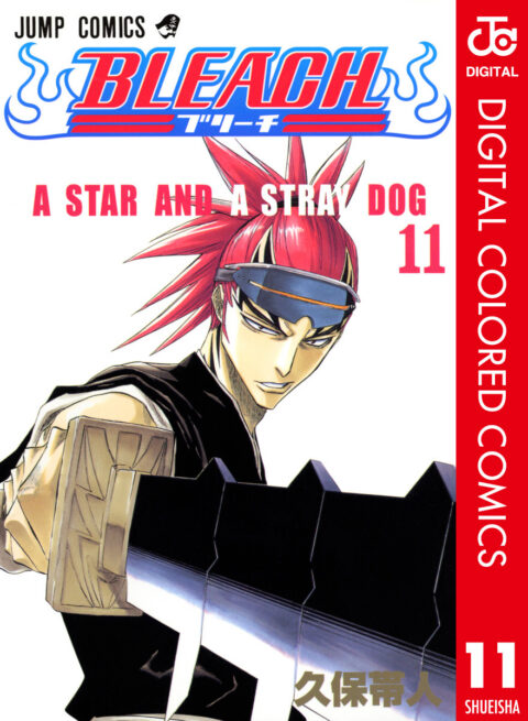 Bleach, Vol. 11