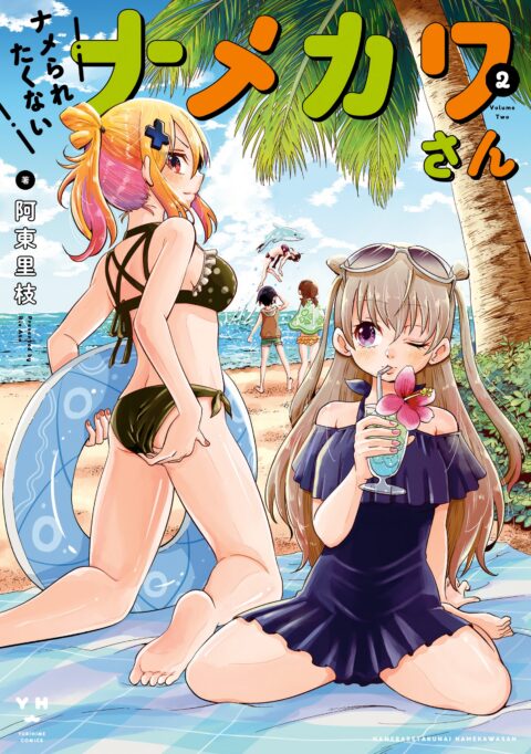 Namekawa-san Won’t Take a Licking!, Vol. 2