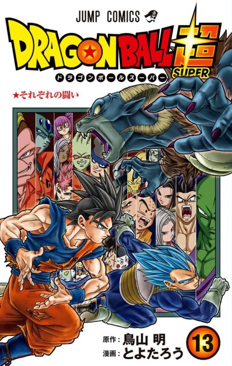 Dragon Ball Super, Vol. 13