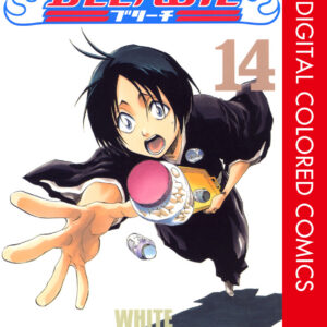 Bleach, Vol. 14