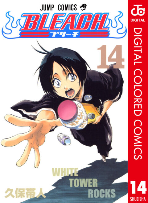Bleach, Vol. 14