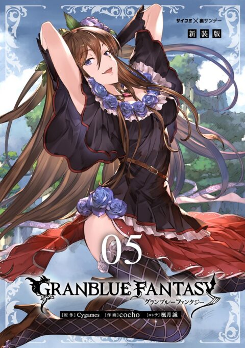 Granblue Fantasy, Vol. 5
