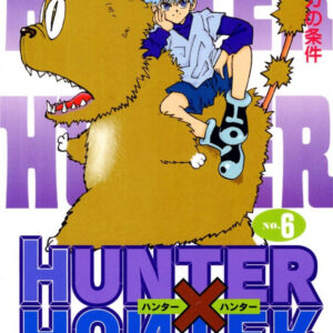 Hunter x Hunter, Vol. 6