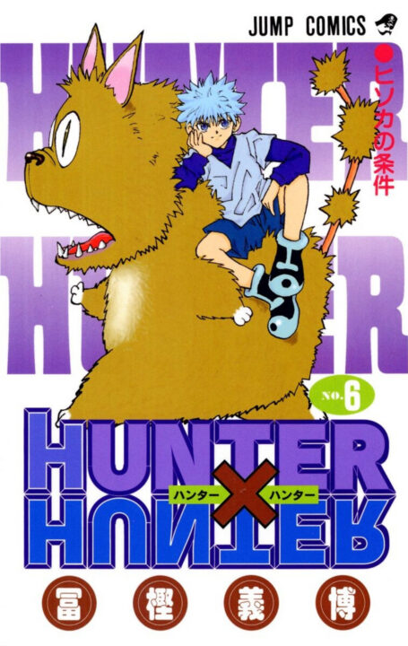 Hunter x Hunter, Vol. 6