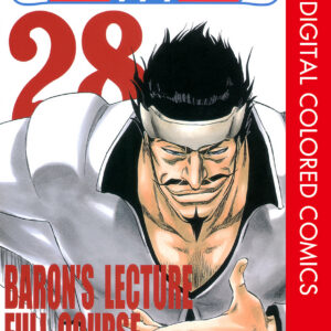 Bleach, Vol. 28