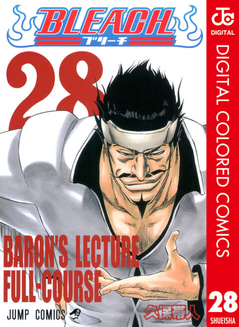 Bleach, Vol. 28