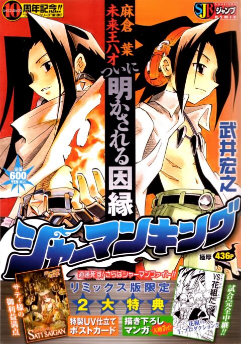 Shaman King – Flowers, Vol. 8