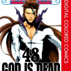 Bleach, Vol. 48
