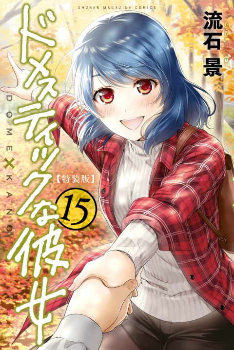 Domestic Girlfriend, Vol. 15