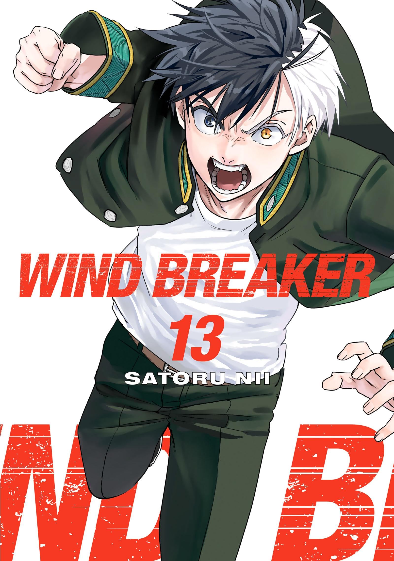 Wind Breaker, Vol. 13