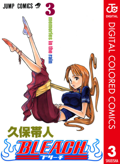 Bleach, Vol. 3