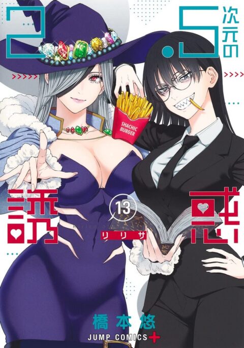 2.5 Dimensional Seduction, Vol. 13