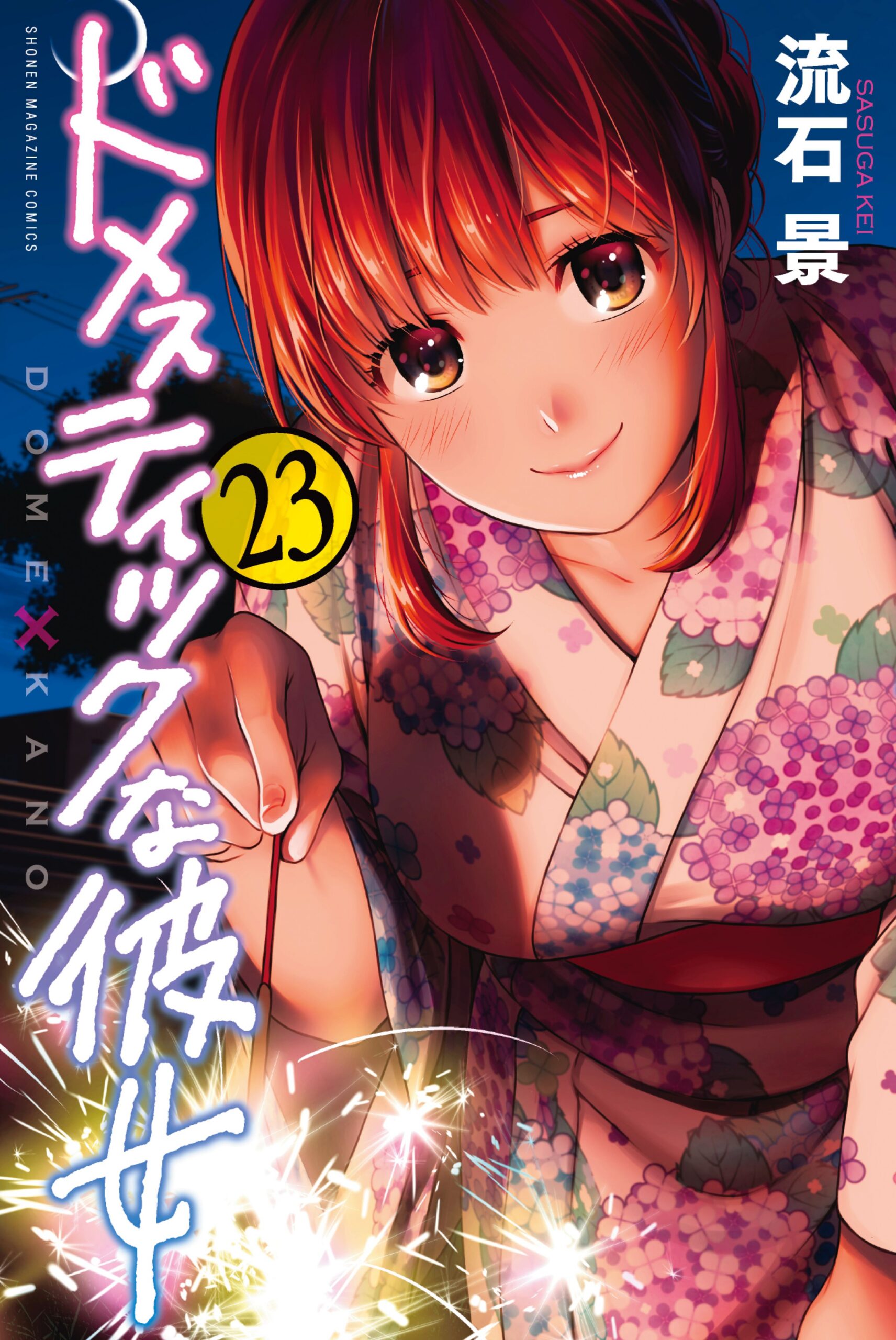 Domestic Girlfriend, Vol. 23