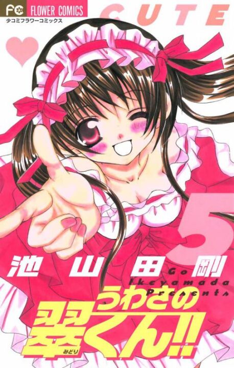 The Untouchable Midori-kun, Vol. 5