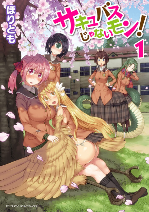 I’m Not a Succubus!, Vol. 1