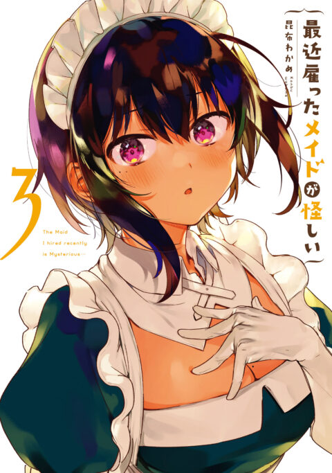 The Maid I Hired Recently Is Mysterious, Vol. 3