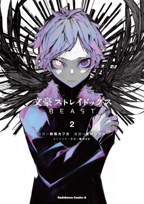 Bungo Stray Dogs – Beast, Vol. 2